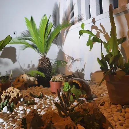 Evergreen 4* Porto Cesareo