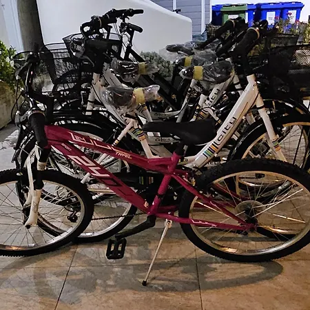 Evergreen Bed & Breakfast