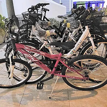 Evergreen לינה וארוחת בוקר פורטו צ'זראו