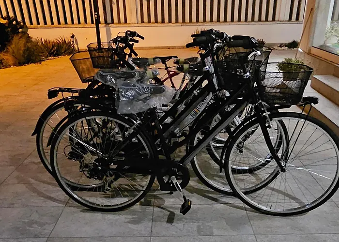 Evergreen Bed & Breakfast 4*